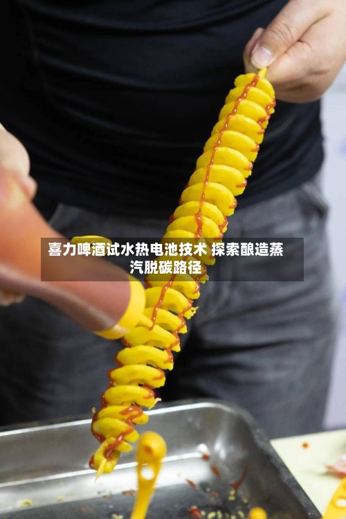 喜力啤酒试水热电池技术 探索酿造蒸汽脱碳路径