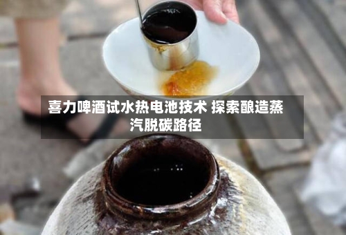 喜力啤酒试水热电池技术 探索酿造蒸汽脱碳路径-第3张图片