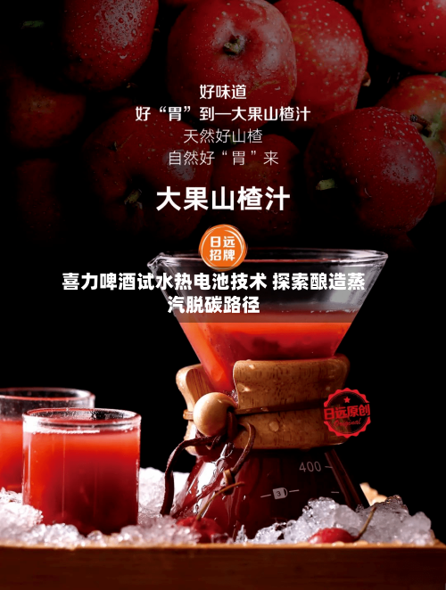 喜力啤酒试水热电池技术 探索酿造蒸汽脱碳路径-第2张图片