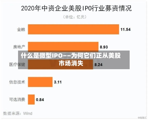 什么是微型IPO——为何它们正从美股市场消失-第2张图片