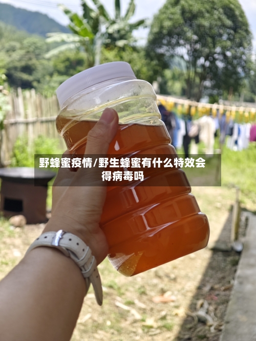 野蜂蜜疫情/野生蜂蜜有什么特效会得病毒吗-第3张图片