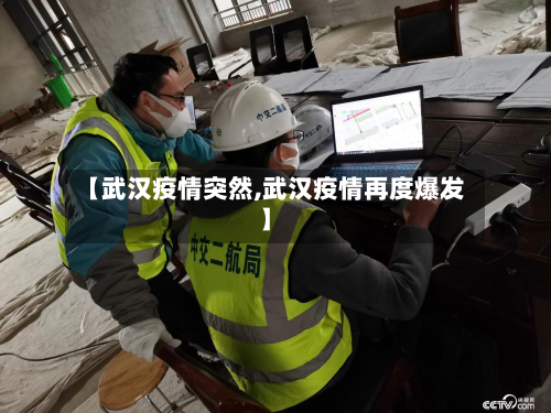 【武汉疫情突然,武汉疫情再度爆发】-第2张图片