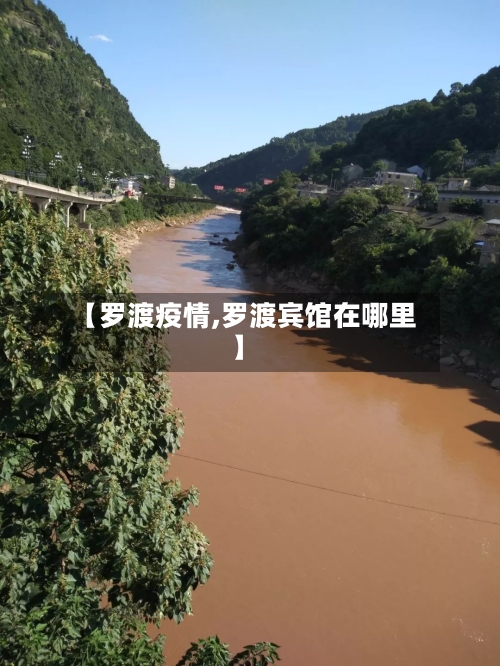 【罗渡疫情,罗渡宾馆在哪里】-第2张图片