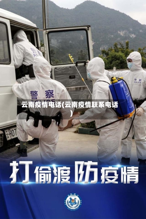 云南疫情电话(云南疫情联系电话)-第2张图片