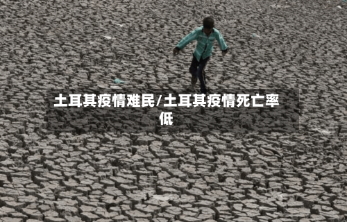 土耳其疫情难民/土耳其疫情死亡率低-第2张图片