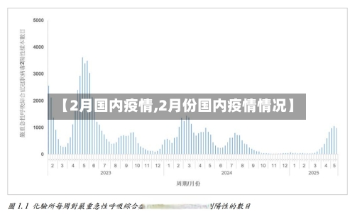 【2月国内疫情,2月份国内疫情情况】-第2张图片