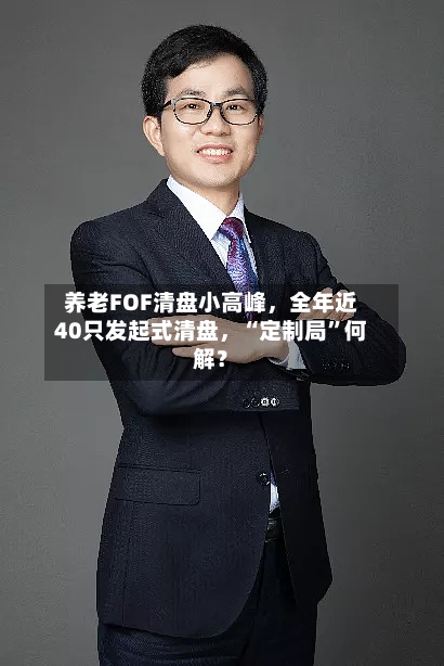养老FOF清盘小高峰，全年近40只发起式清盘，“定制局	”何解？-第2张图片