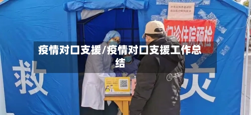 疫情对口支援/疫情对口支援工作总结-第3张图片