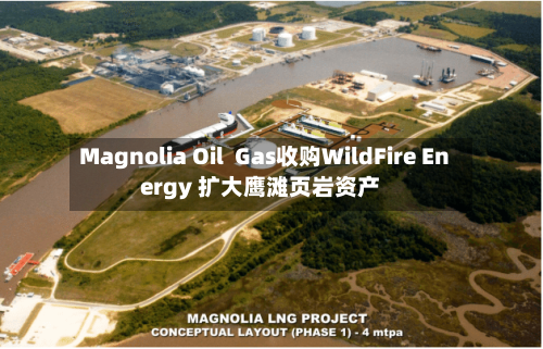 Magnolia Oil  Gas收购WildFire Energy 扩大鹰滩页岩资产