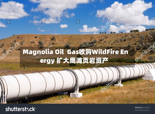 Magnolia Oil Gas收购WildFire Energy 扩大鹰滩页岩资产-第2张图片