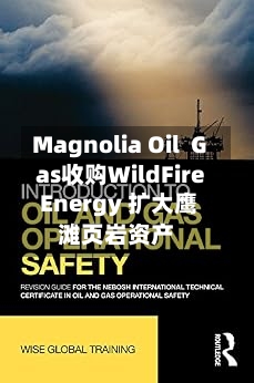 Magnolia Oil Gas收购WildFire Energy 扩大鹰滩页岩资产-第3张图片