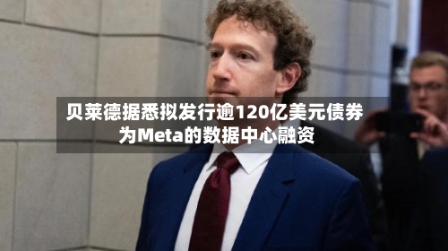 贝莱德据悉拟发行逾120亿美元债券 为Meta的数据中心融资-第2张图片