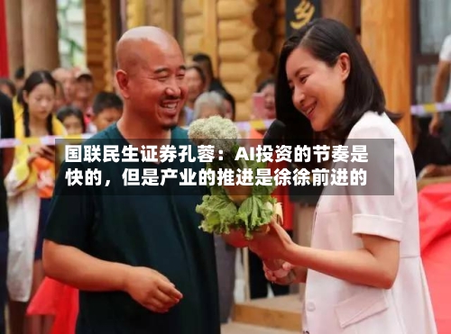 国联民生证券孔蓉：AI投资的节奏是快的，但是产业的推进是徐徐前进的