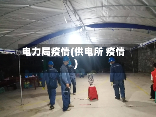 电力局疫情(供电所 疫情)