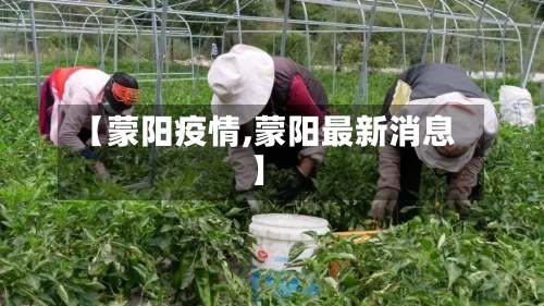 【蒙阳疫情,蒙阳最新消息】