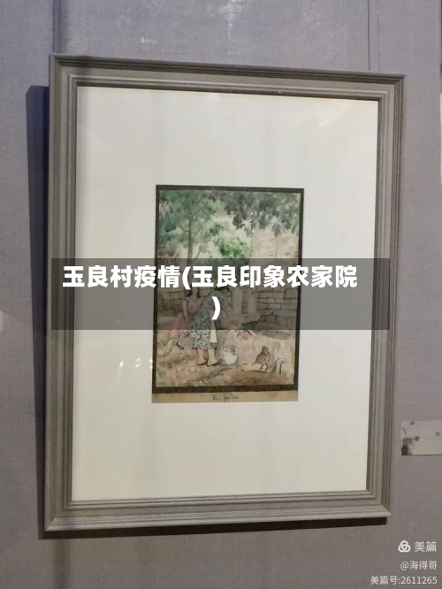 玉良村疫情(玉良印象农家院)