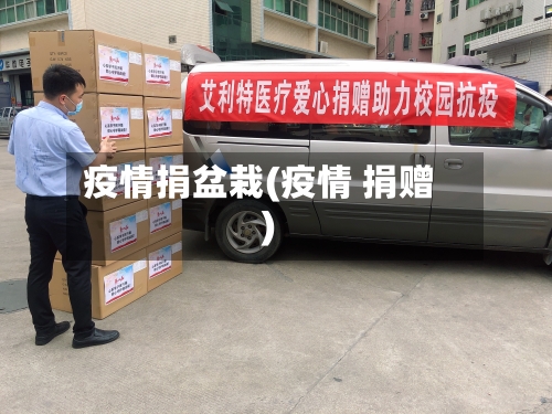疫情捐盆栽(疫情 捐赠)