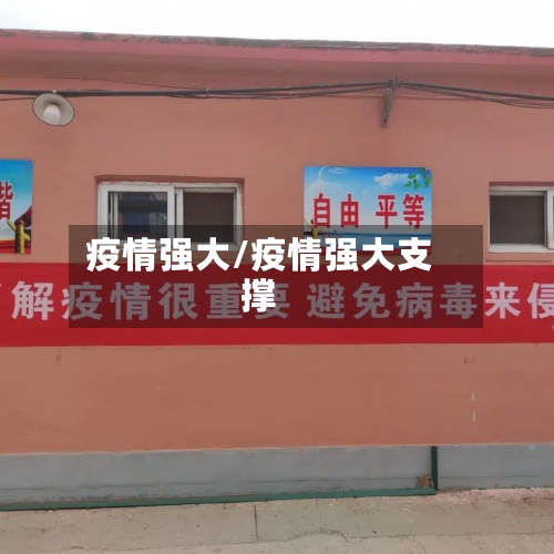 疫情强大/疫情强大支撑