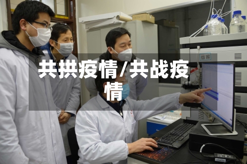 共拱疫情/共战疫情