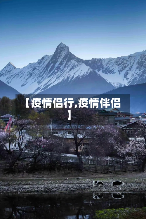 【疫情侣行,疫情伴侣】-第3张图片
