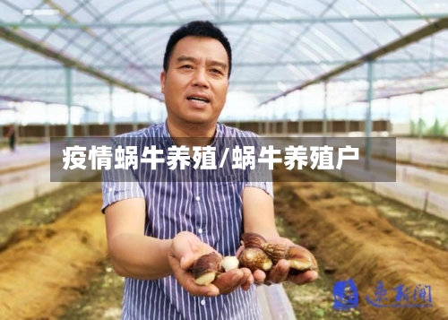 疫情蜗牛养殖/蜗牛养殖户-第2张图片