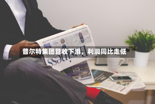 普尔特集团营收下滑，利润同比走低