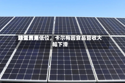鸡蛋费用跌至历史低位，卡尔梅因食品营收大幅下滑-第2张图片