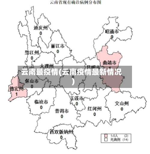 云南最疫情(云南疫情最新情况)