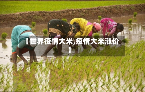 【世界疫情大米,疫情大米涨价】-第2张图片