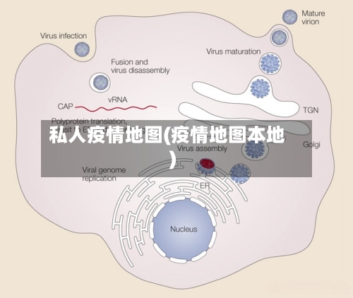 私人疫情地图(疫情地图本地)-第3张图片