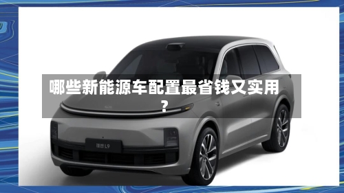 哪些新能源车配置最省钱又实用？