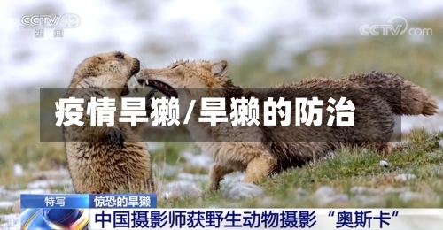疫情旱獭/旱獭的防治-第3张图片