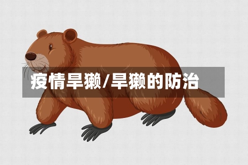 疫情旱獭/旱獭的防治-第2张图片