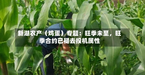 新湖农产（鸡蛋）专题：旺季未至，旺季合约已褪去投机属性-第2张图片