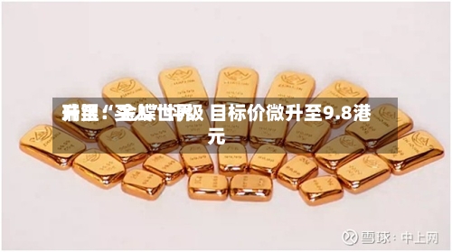 瑞银：金蝶世界升至“买入”评级 目标价微升至9.8港元
