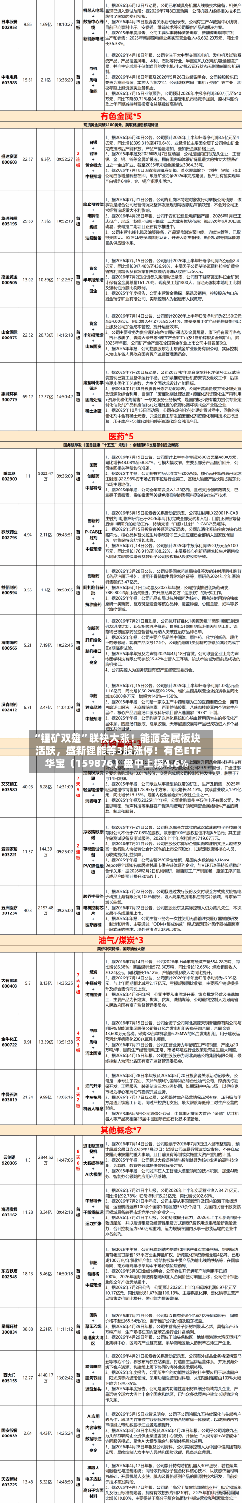 “锂矿双雄”联袂大涨！能源金属板块活跃	，盛新锂能等3股涨停！有色ETF华宝（159876）盘中上探4.6%-第3张图片