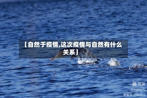 【自然于疫情,这次疫情与自然有什么关系】