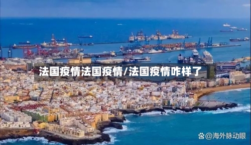 法国疫情法国疫情/法国疫情咋样了-第2张图片