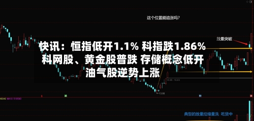 快讯：恒指低开1.1% 科指跌1.86% 科网股	、黄金股普跌 存储概念低开 油气股逆势上涨-第3张图片