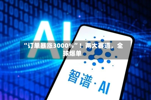 “订单暴涨3000%”！两大赛道，全球爆单-第3张图片