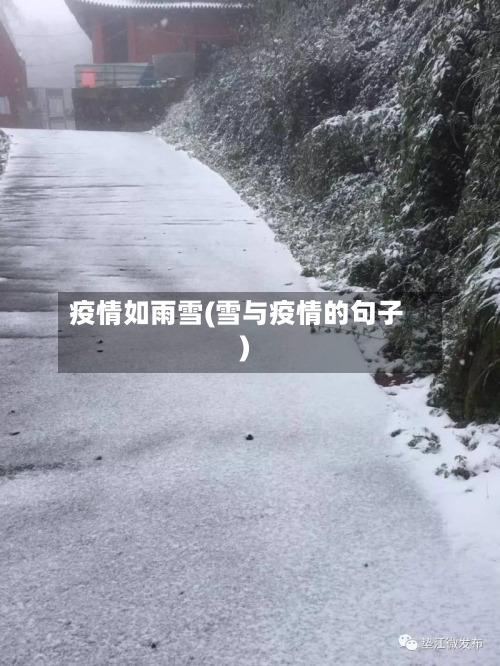 疫情如雨雪(雪与疫情的句子)-第2张图片