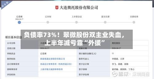 负债率73%！翠微股份双主业失血，上半年减亏靠“外援”-第2张图片