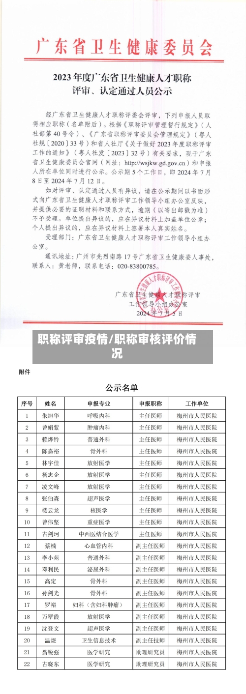 职称评审疫情/职称审核评价情况