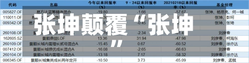 张坤颠覆“张坤”