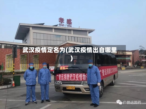 武汉疫情定名为(武汉疫情出自哪里)-第2张图片