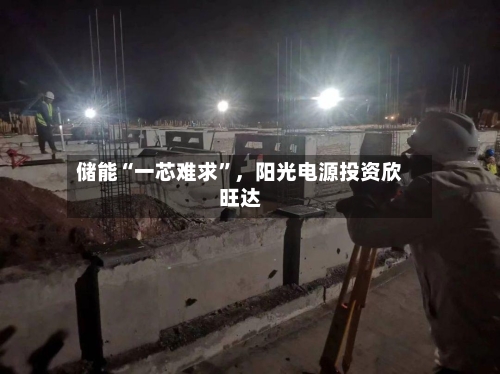 储能“一芯难求	”，阳光电源投资欣旺达-第2张图片