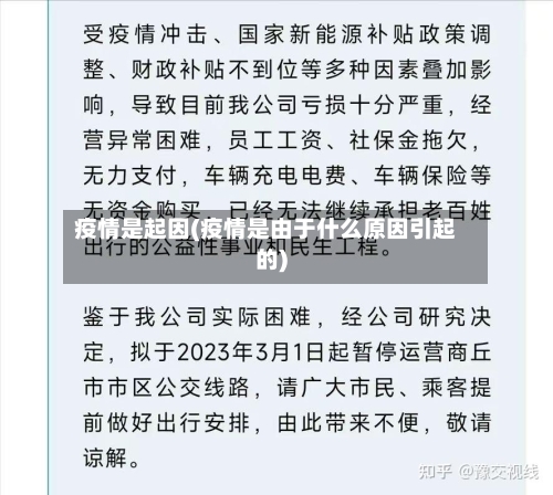 疫情是起因(疫情是由于什么原因引起的)-第3张图片