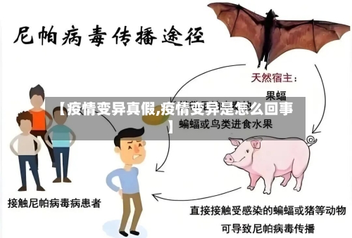 【疫情变异真假,疫情变异是怎么回事】-第2张图片