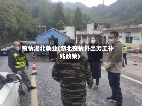 疫情湖北就业(湖北疫情外出务工补贴政策)