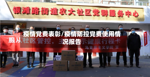 疫情党费表彰/疫情防控党费使用情况报告-第2张图片